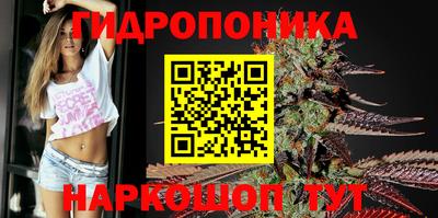 ECSTASY Комсомольск-на-Амуре