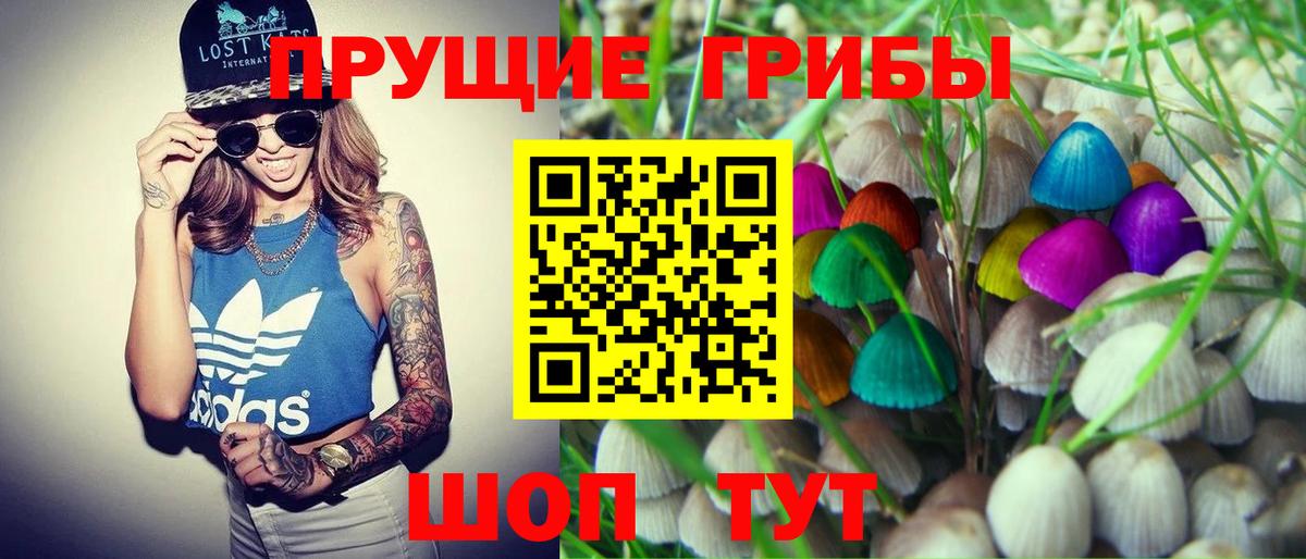 Псилоцибиновые грибы мицелий Учалы